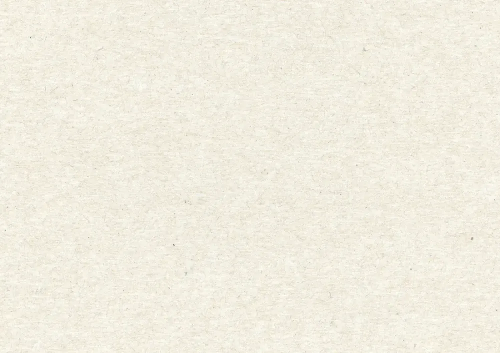 paperboard-texture 1